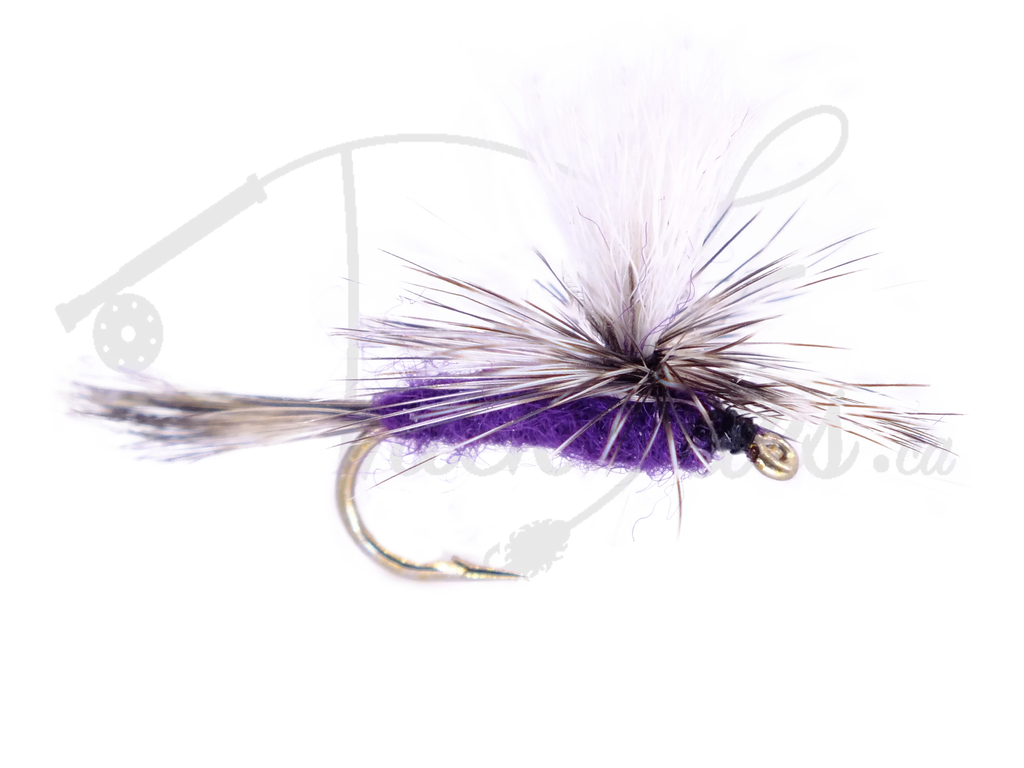 Purple Haze dry fly fishing lure with white and purple hackle on a transparent background