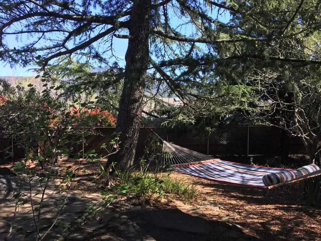 Striped hammock hanging between trees in a shaded backyard garden