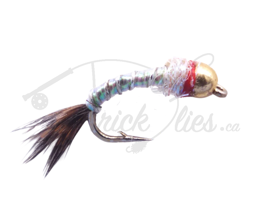 Rainbow Warrior fishing fly with iridescent body, gold bead head, and feather tail on white background