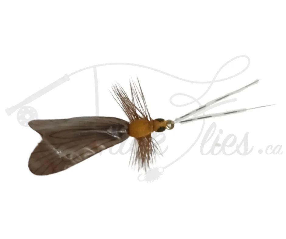 Realistic brown caddis fly fishing lure with transparent wings and feather detail on white background