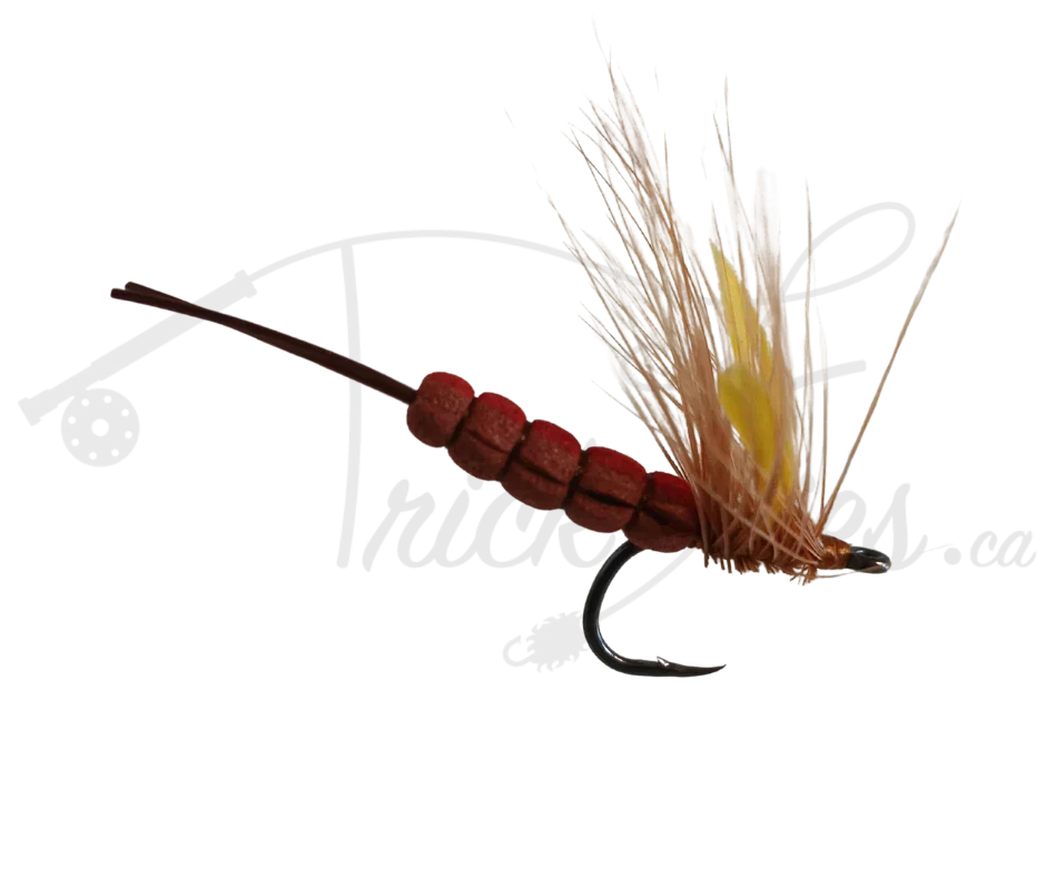 Realistic brown mayfly fishing fly with detailed feather wings and segmented body on hook