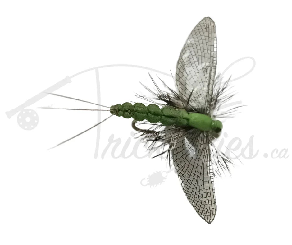 realistic green spent mayfly artificial fly with detailed wings for fly fishing