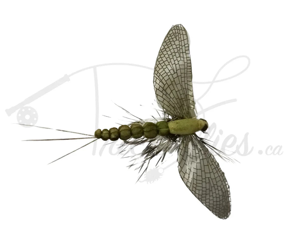 Realistic grey mayfly fishing fly with detailed segmented body and veined wings on white background