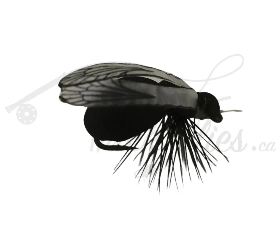 realistic flying black ant with detailed wings and legs on a white background