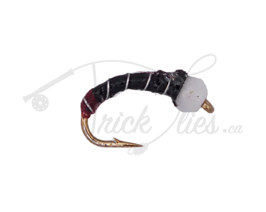 Black and red butt chironomid fly fishing lure with white bead head on plain background