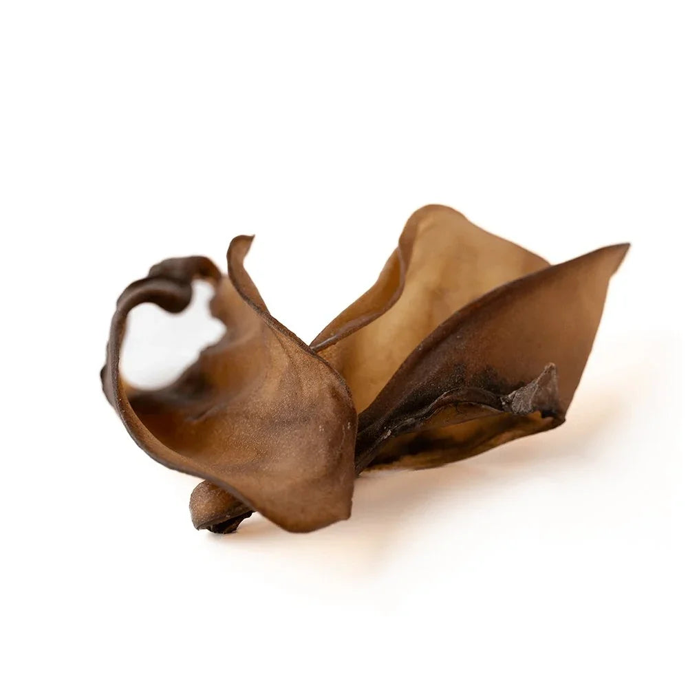 Single dried beef ear dog chew treat on white background