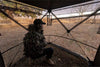 Rhino Blinds Rhino 180 - See Through Blind 5-Hub Design - Leapfrog Outdoor Sports and Apparel