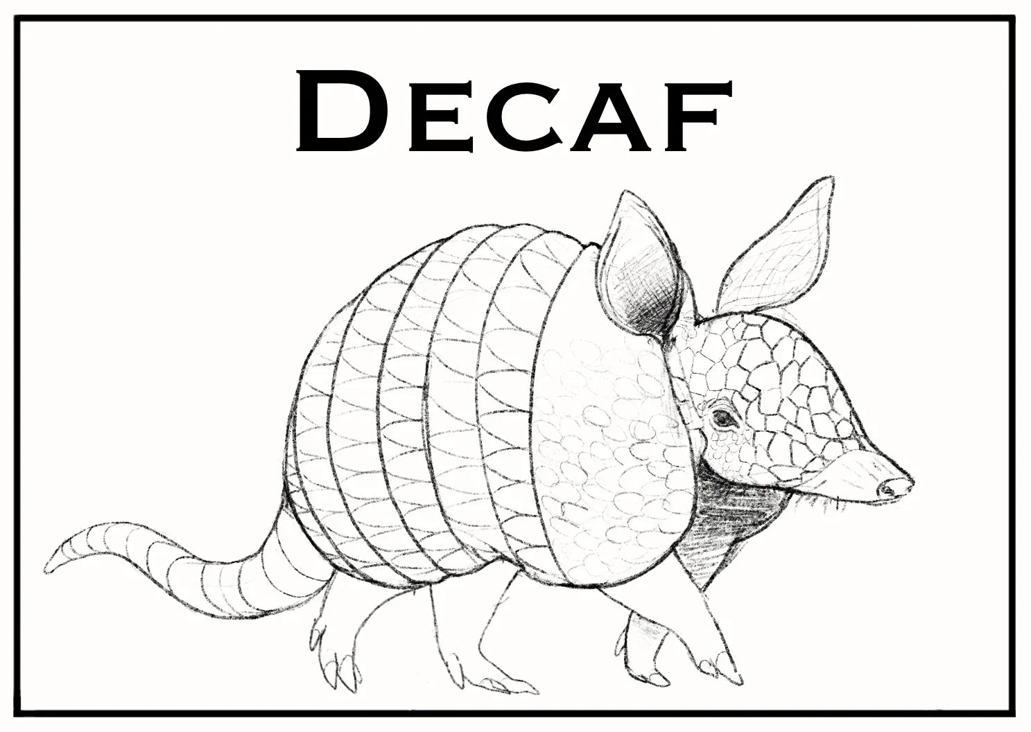 Hand drawn armadillo illustration with 'Decaf' text, black and white minimalist design.