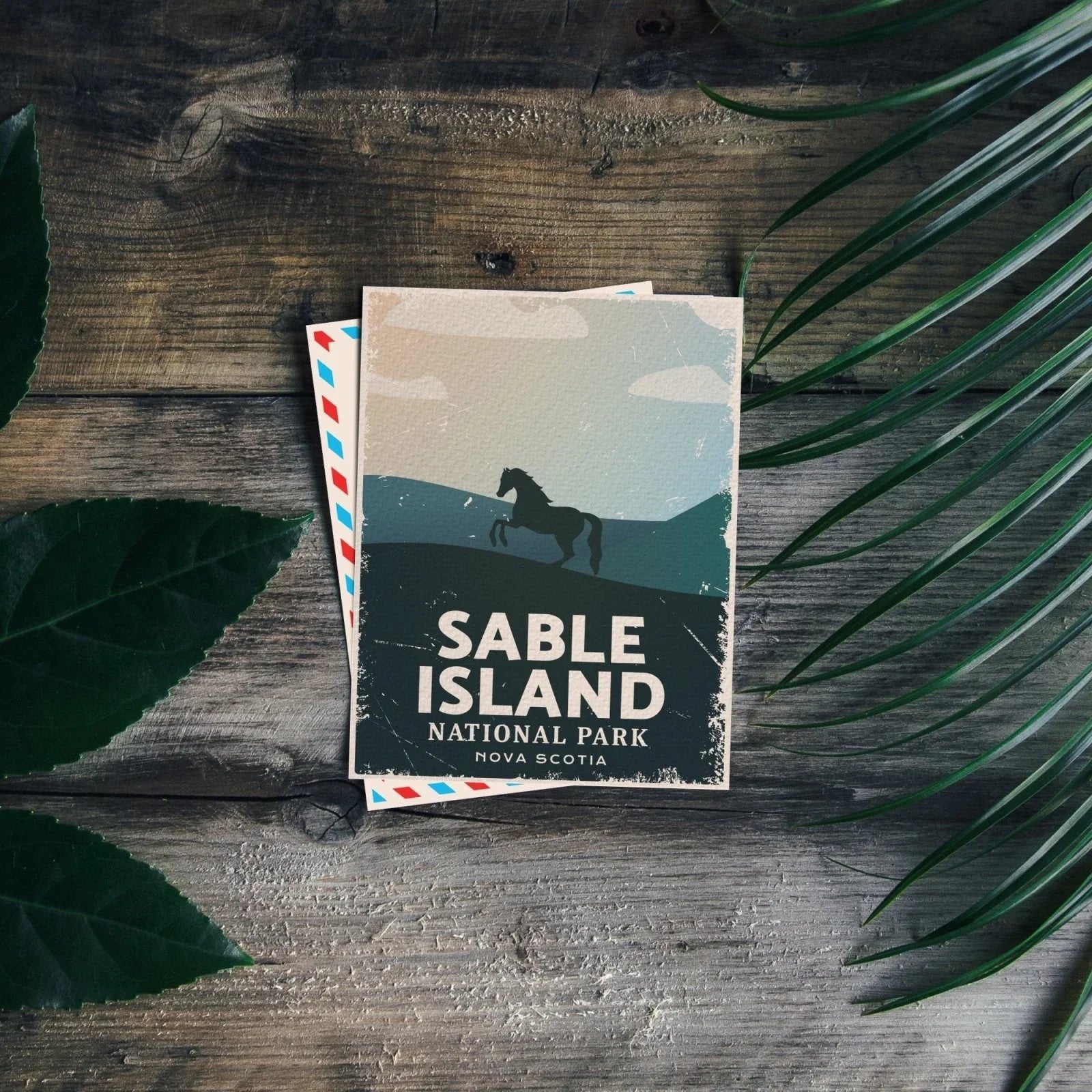 Sable Island National Park postcard with horse illustration on rustic wood, Nova Scotia