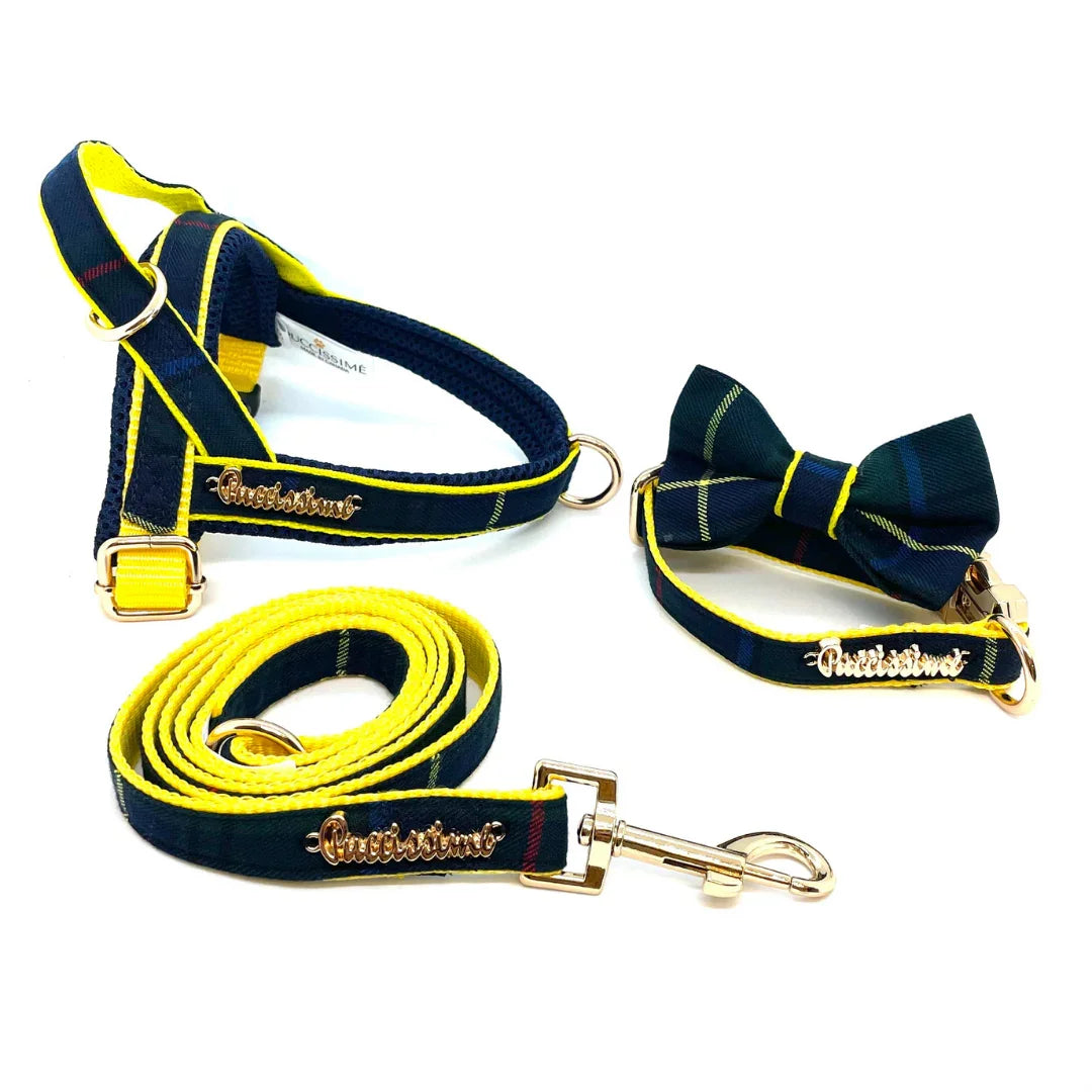 Yellow and navy dog harness, leash, and bow tie collar set with gold hardware
