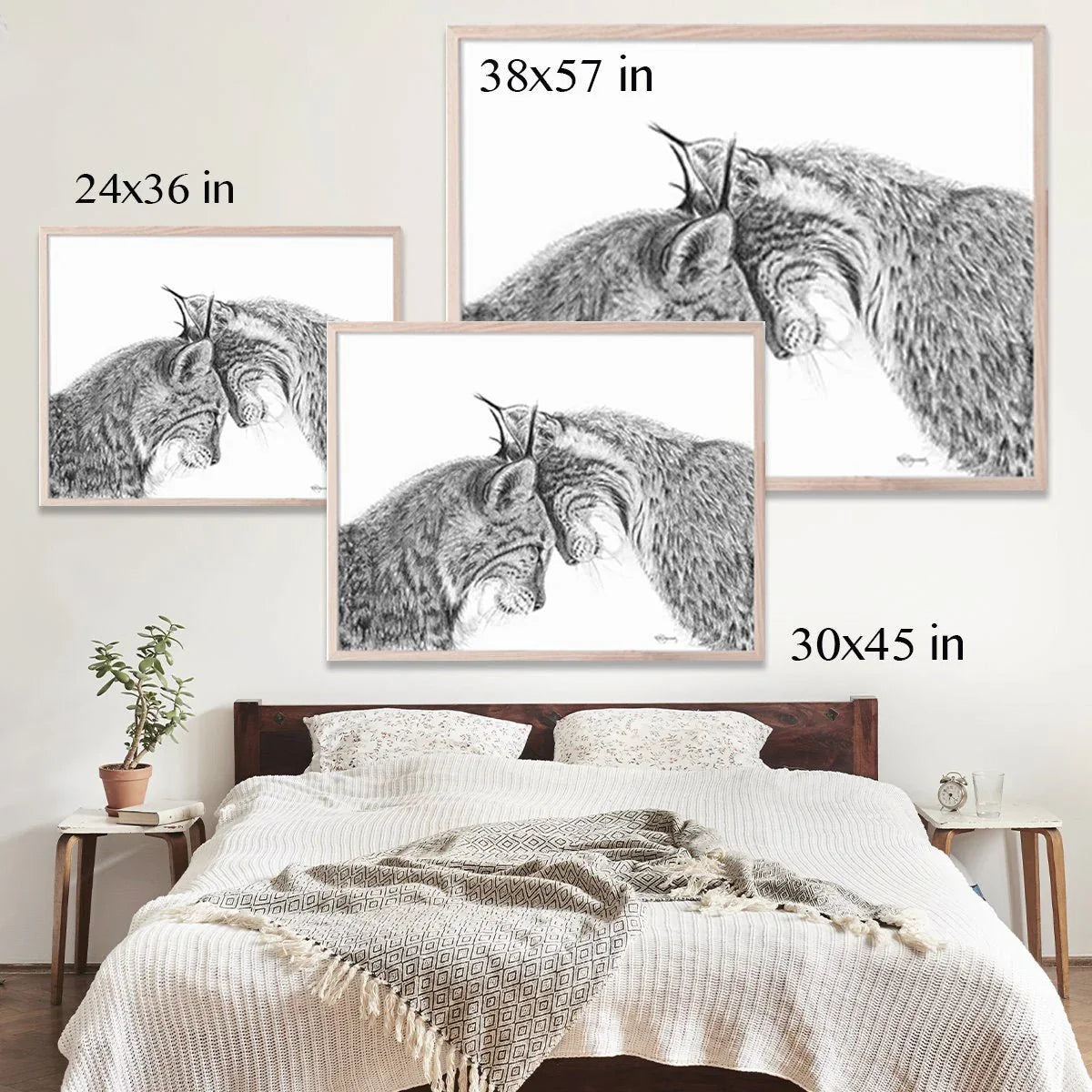 Framed lynx illustration prints in various sizes above a modern bedroom bed