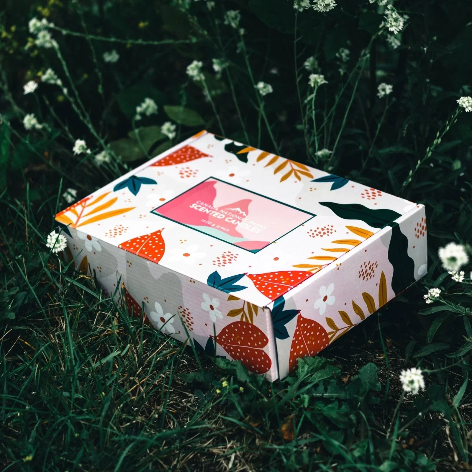 Set of 12 Canadian national parks scented candles box with floral design on grass