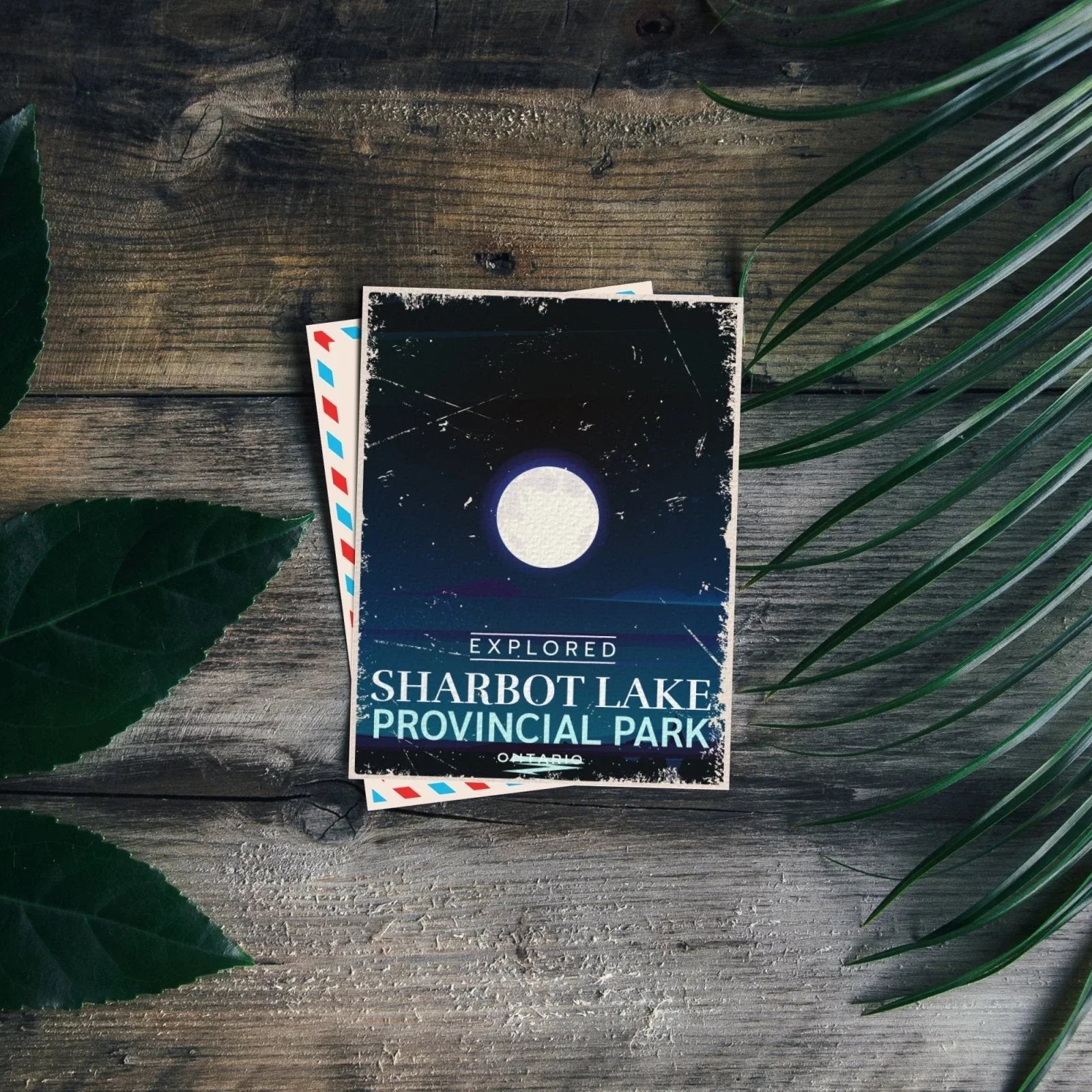 Sharbot Lake Provincial Park postcard with moon, on rustic wood with green leaves