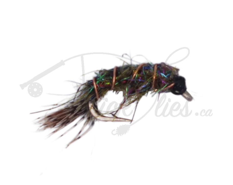 Realistic Soft Touch Shrimp fishing fly with iridescent body and feathered tail on white background