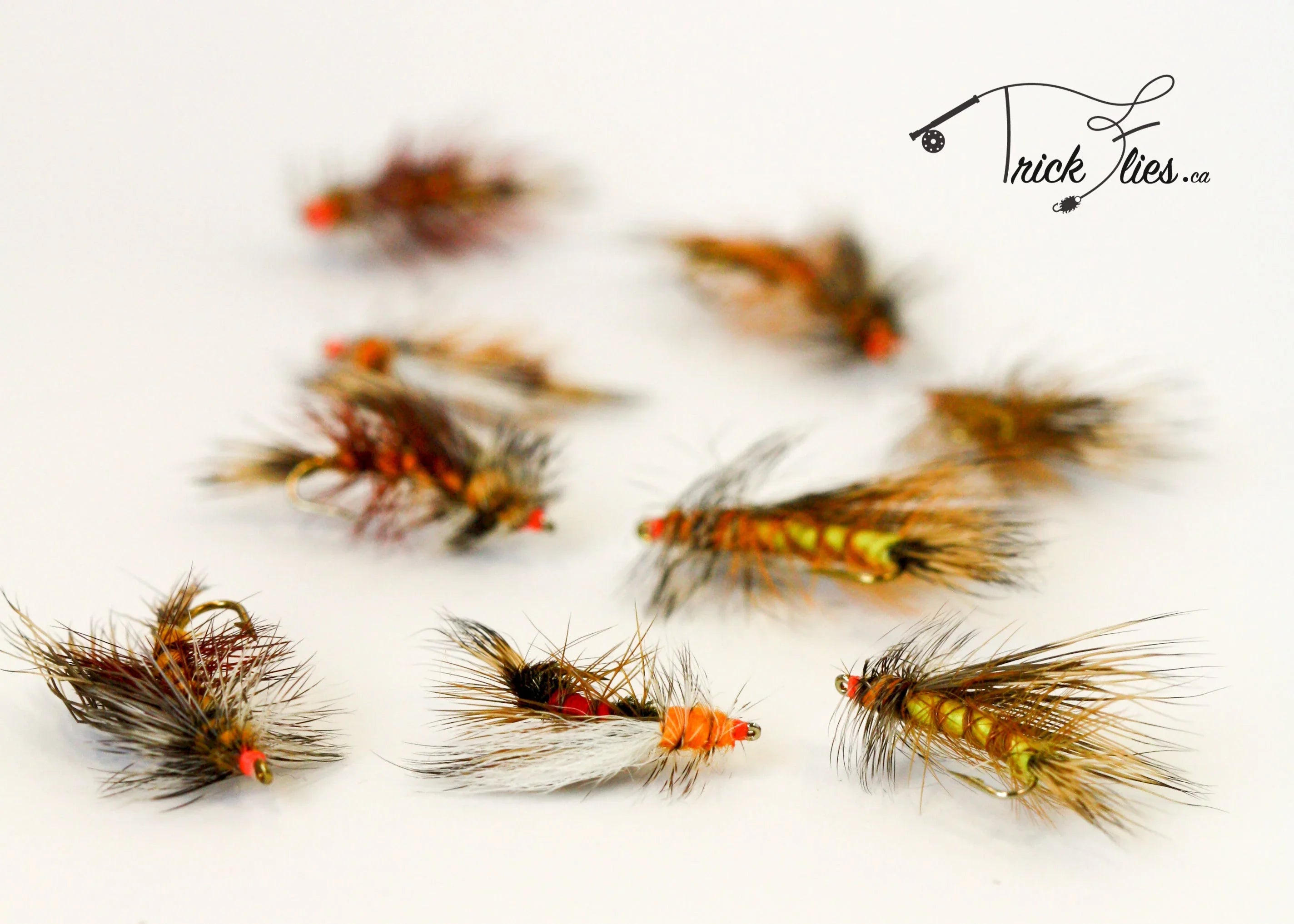 Assorted trout fishing flies with feathers and hooks on white background, Trick Flies logo