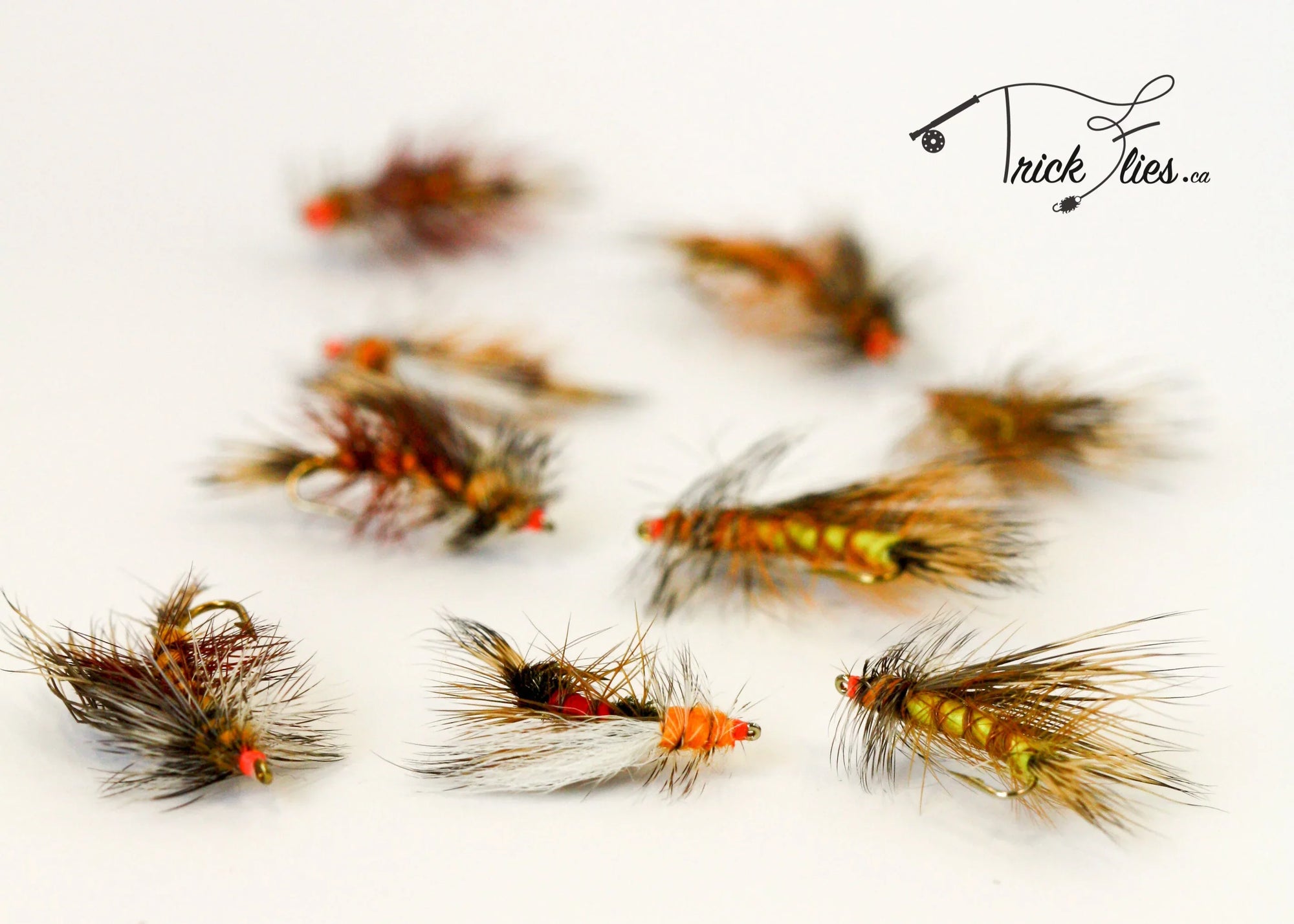 Assorted trout fishing flies with feathers and hooks on white background, Trick Flies logo