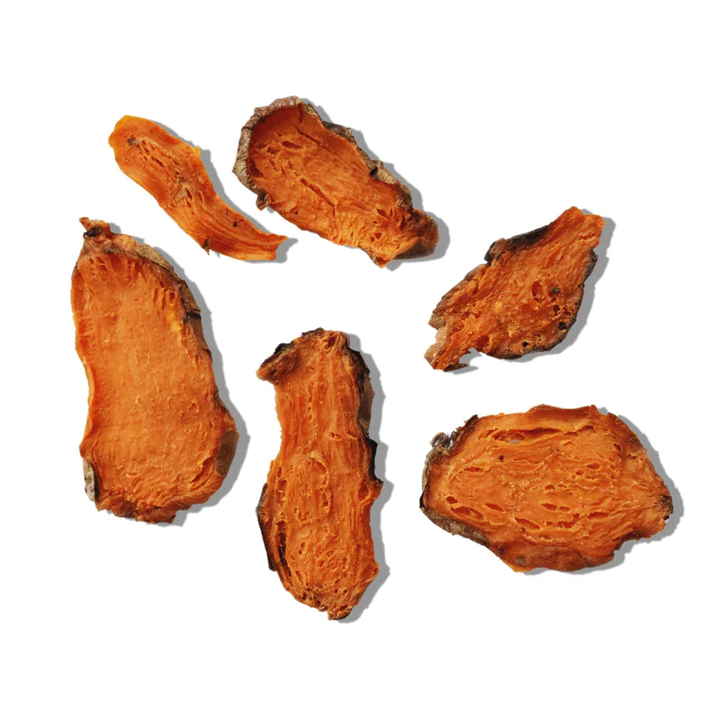 Dried sweet potato chews slices on white background healthy dog treats