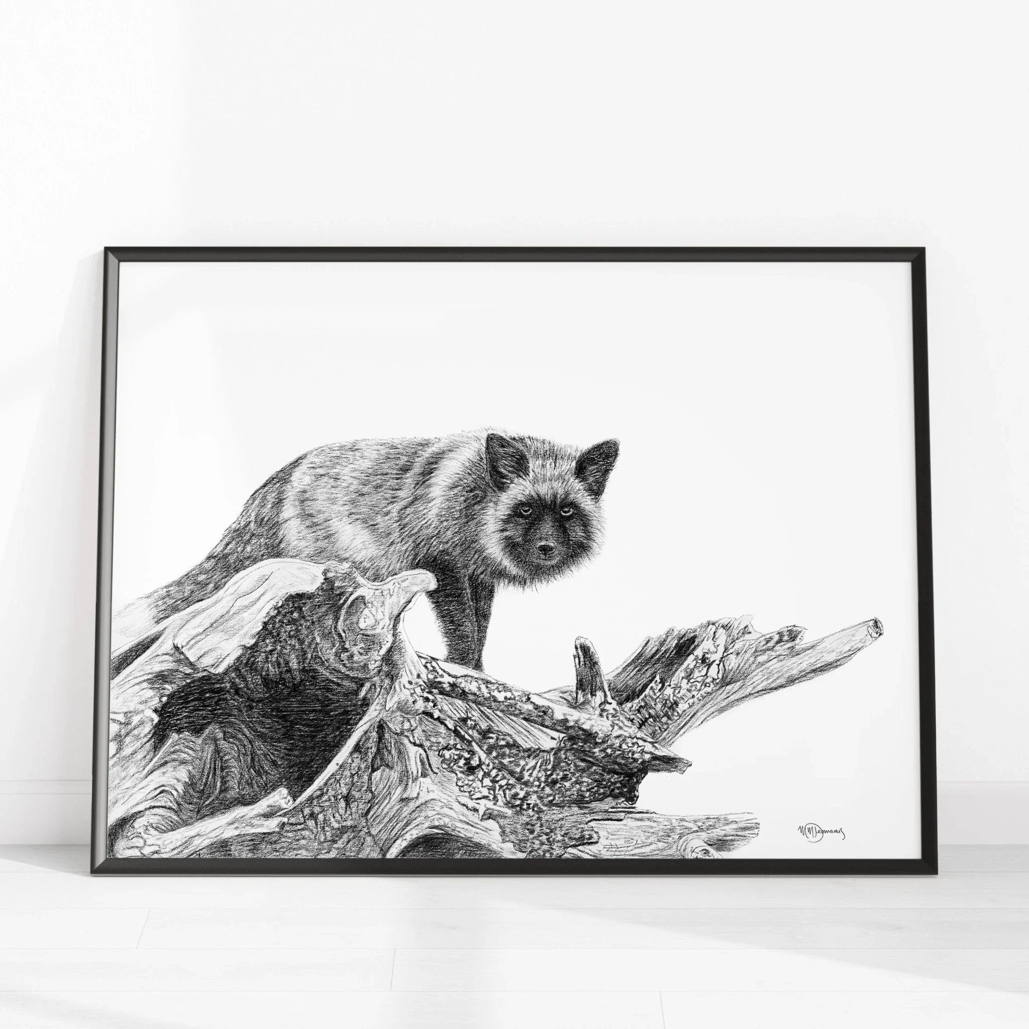 Black and white drawing of a silver fox on driftwood, framed art print on white floor