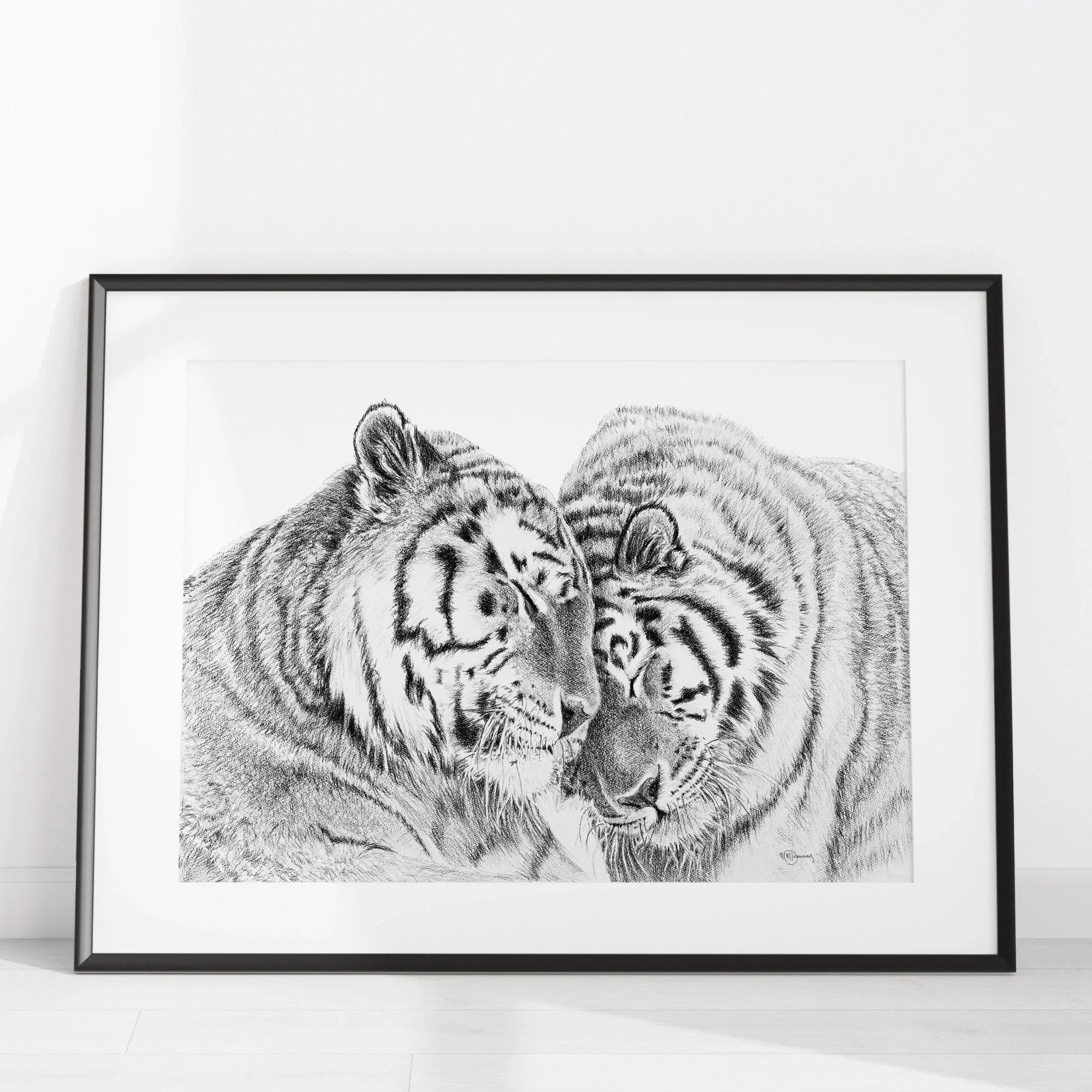 Framed black and white illustration of two Amur tigers nuzzling, minimalist room decor