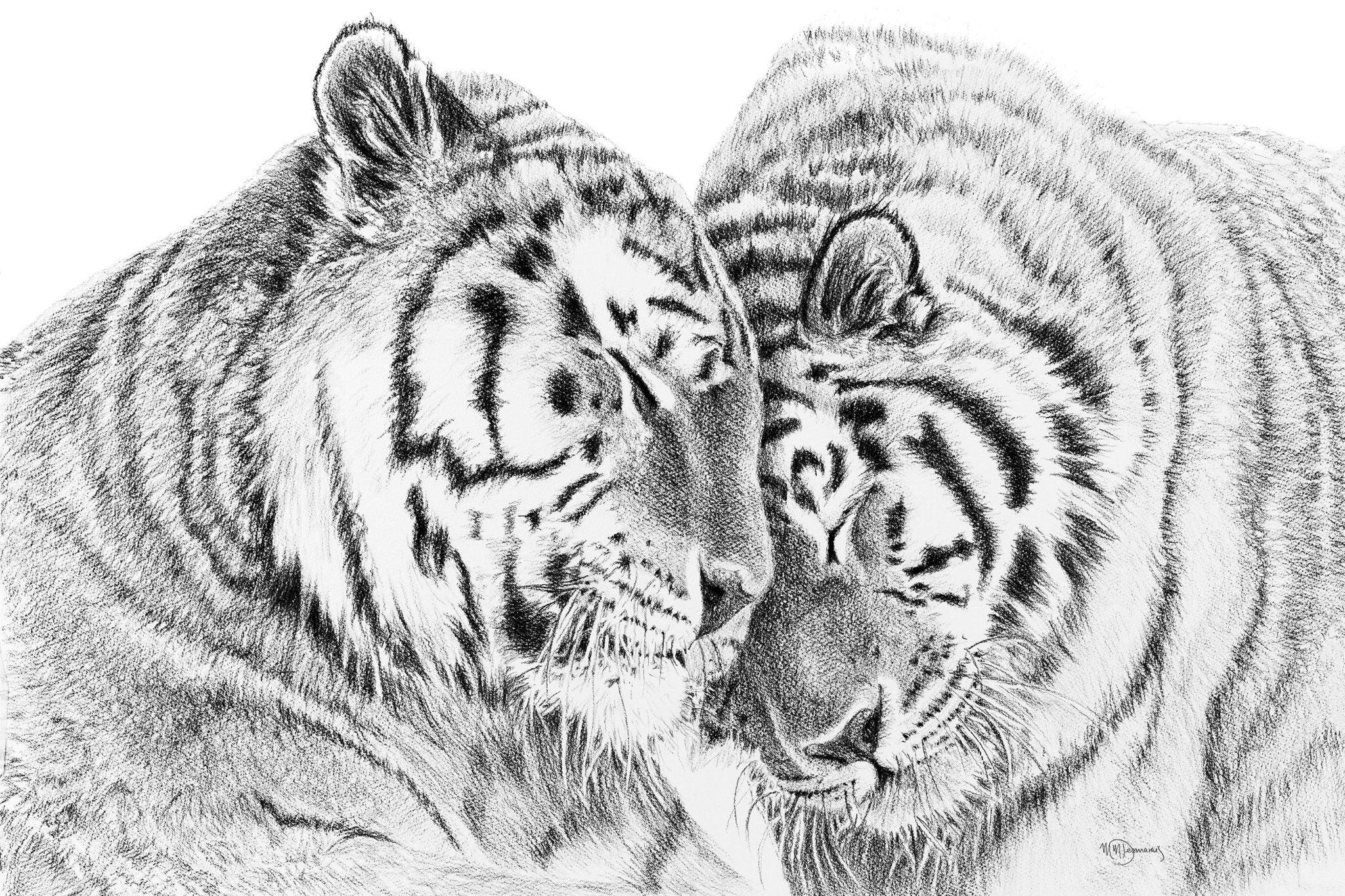 Detailed black and white illustration of two Amur tigers nuzzling each other