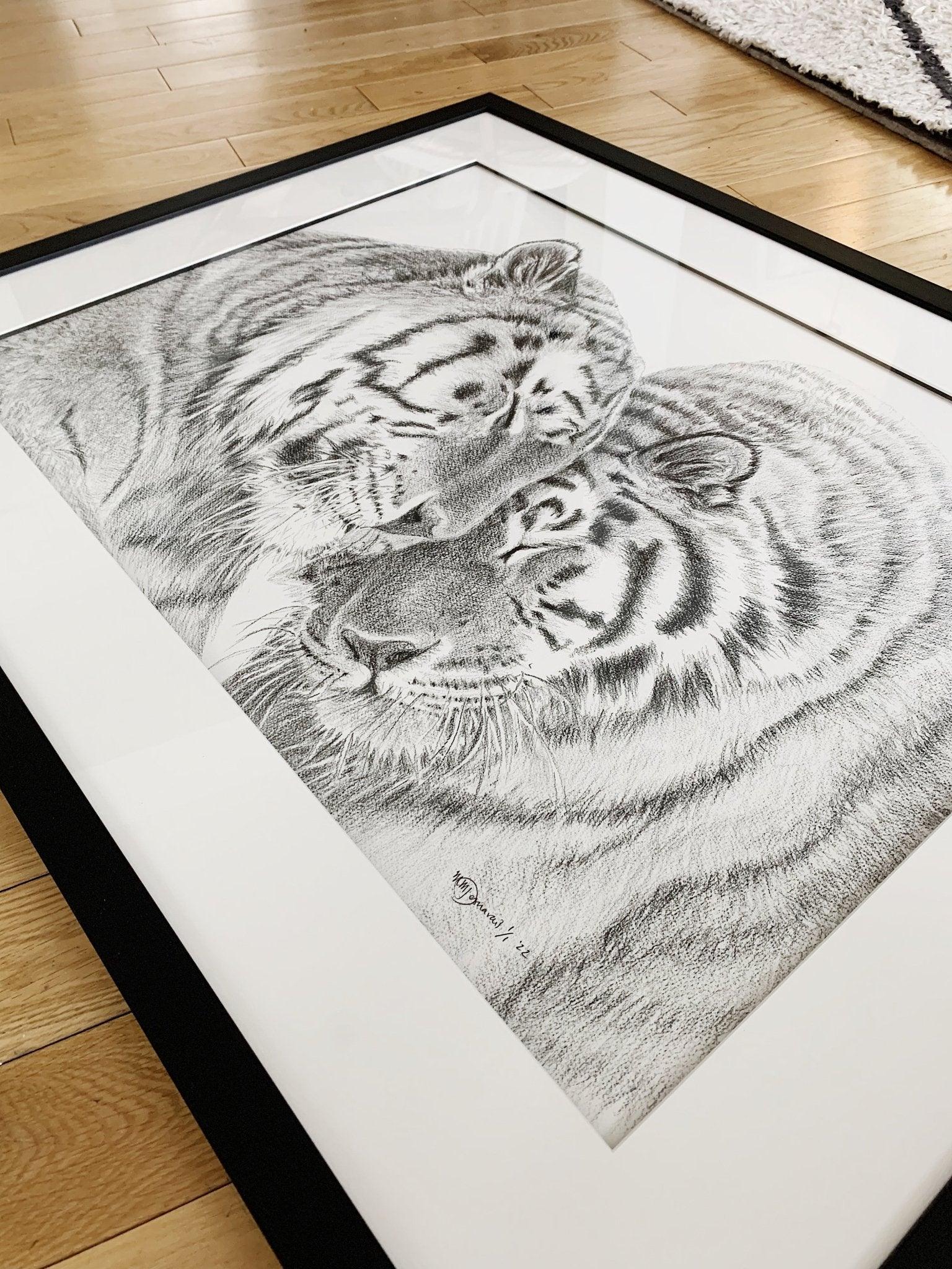 Framed black and white drawing of two Amur tigers nuzzling, on wooden floor
