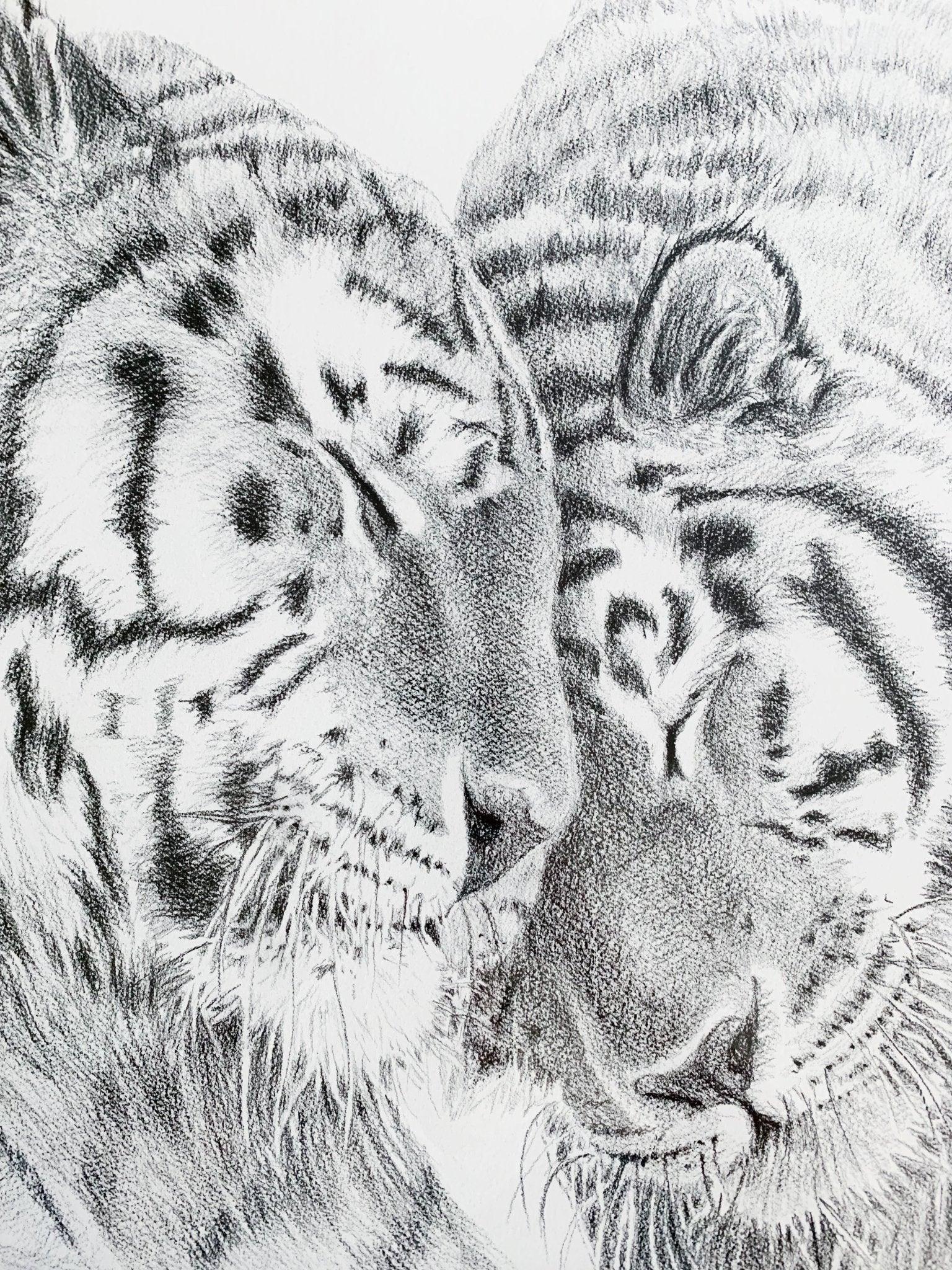 Pencil illustration of two Amur tigers nuzzling, wildlife art, black and white drawing