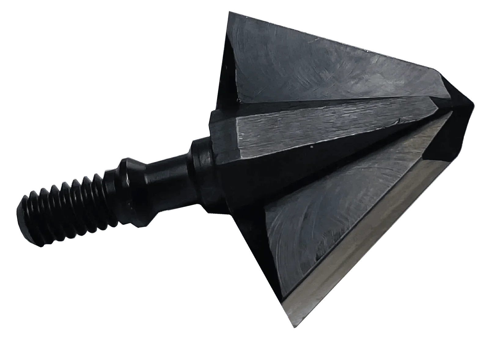 Tooth Of The Arrow Archery 1