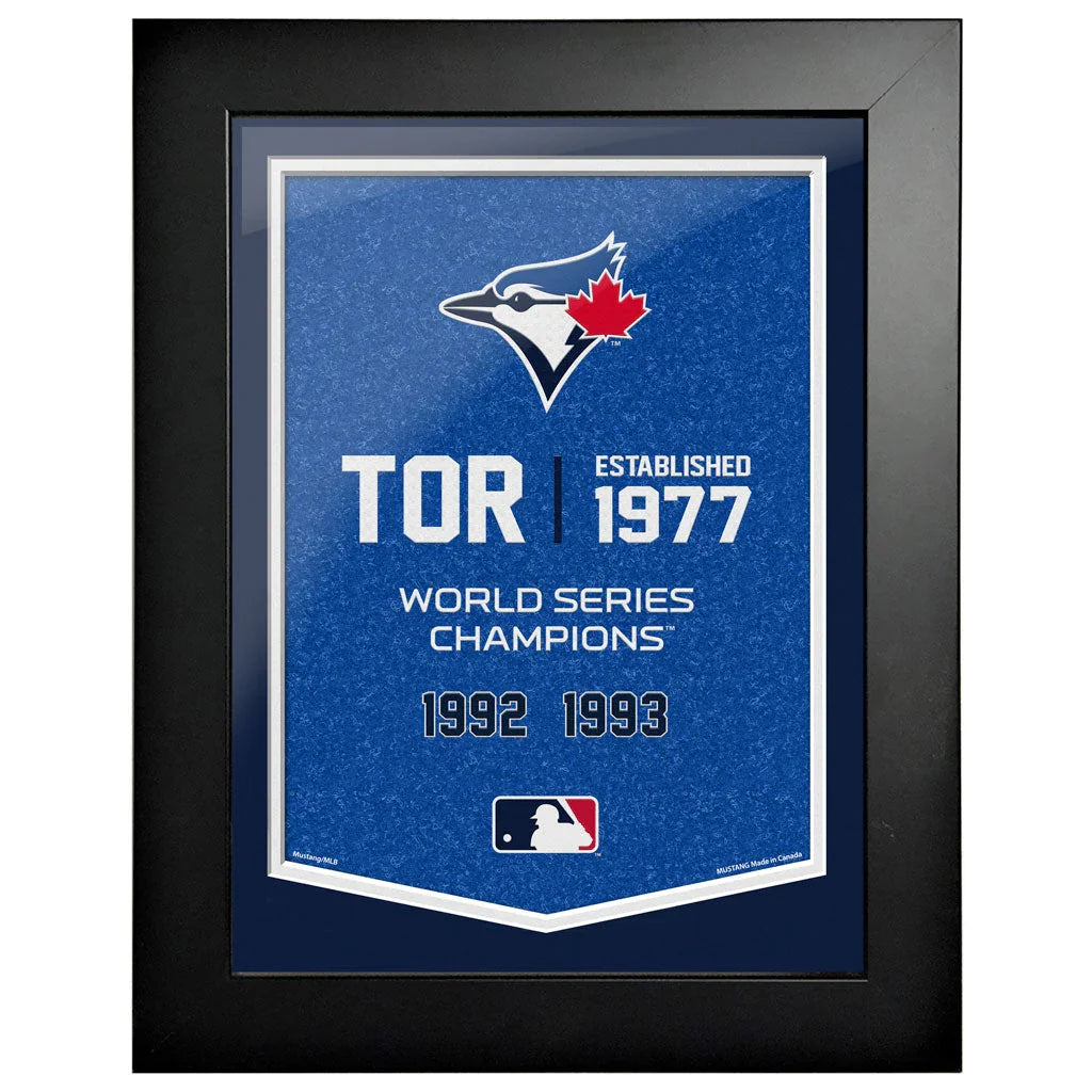 Toronto Blue Jays World Series Champions 1992 1993 framed wall art, blue background