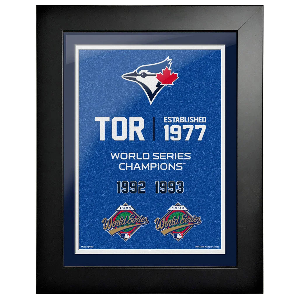 Framed Toronto Blue Jays World Series Champions art with blue background, logo, and 1992 1993 years
