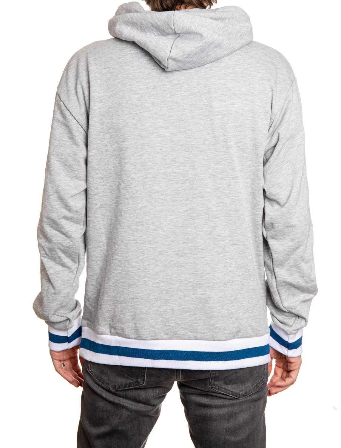 Back view of grey Toronto Maple Leafs chenille hoodie with blue and white stripes