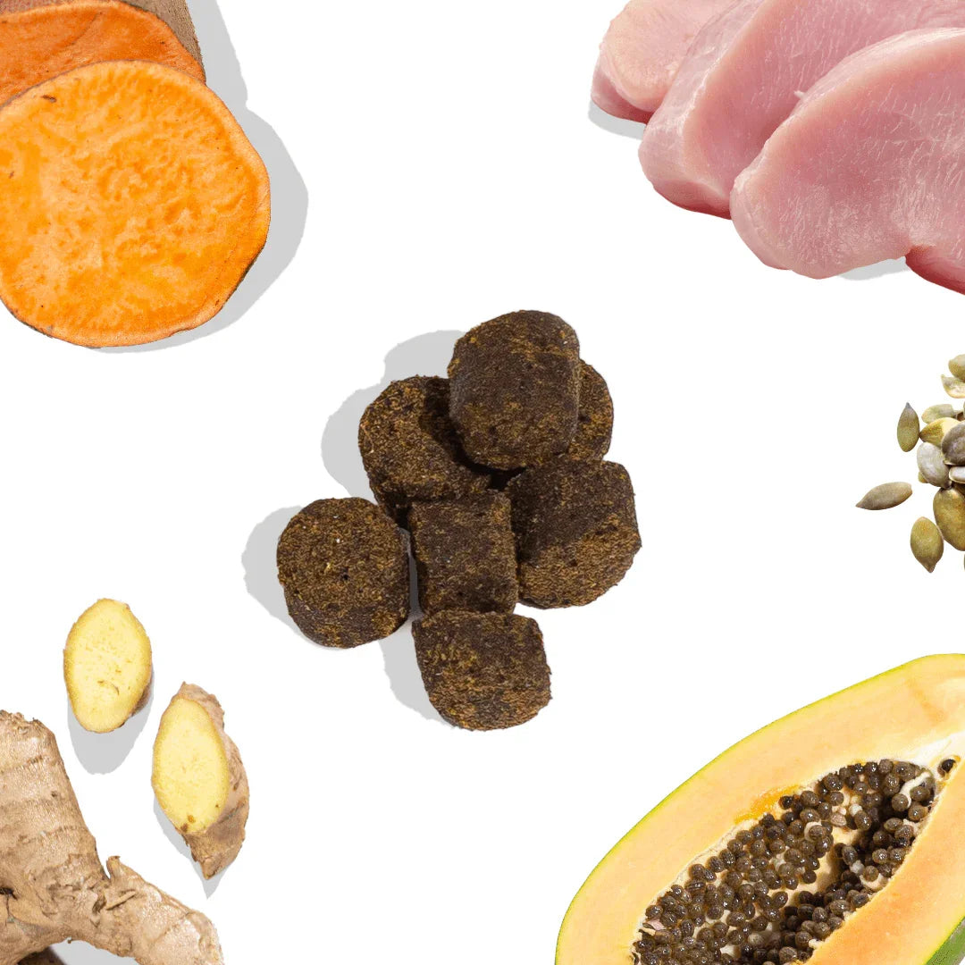 Turkey dog supplement treats with sweet potato, papaya, seeds, ginger and raw turkey