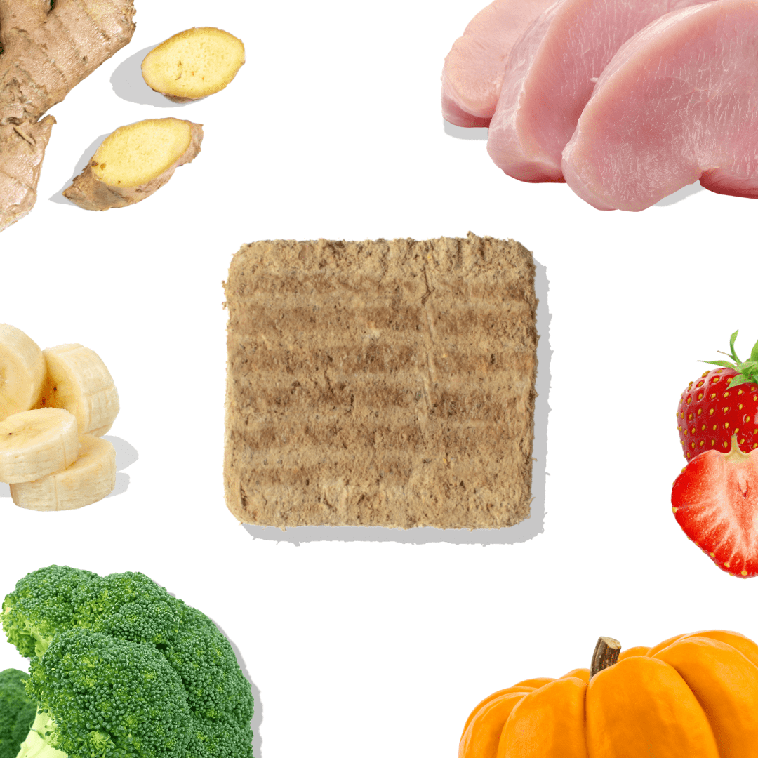 Healthybud Turkey Meal Patties