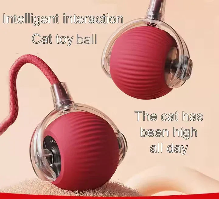 Interactive red cat toy ball with textured tail on soft beige background
