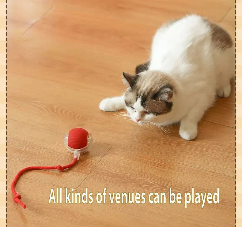 Cat playing with red interactive ball toy with tail on wooden floor indoors