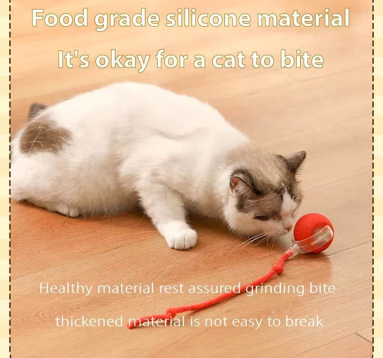 White cat playing with a red silicone ball toy with tail on wooden floor