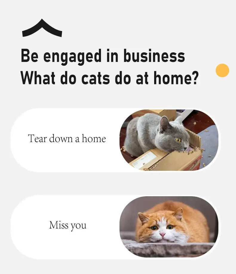 Funny cat meme with two photos showing a gray cat tearing a cardboard box and a sad orange cat lying down, with text about what cats do at home.