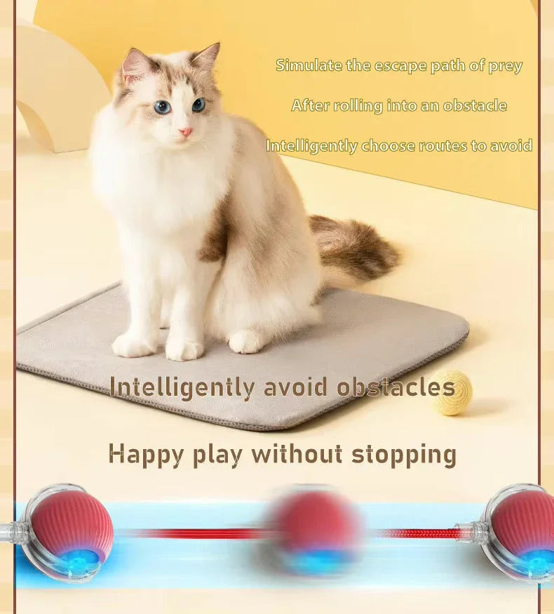 Fluffy cat on mat with yellow toy ball, interactive smart cat toy in motion, playful pet scene