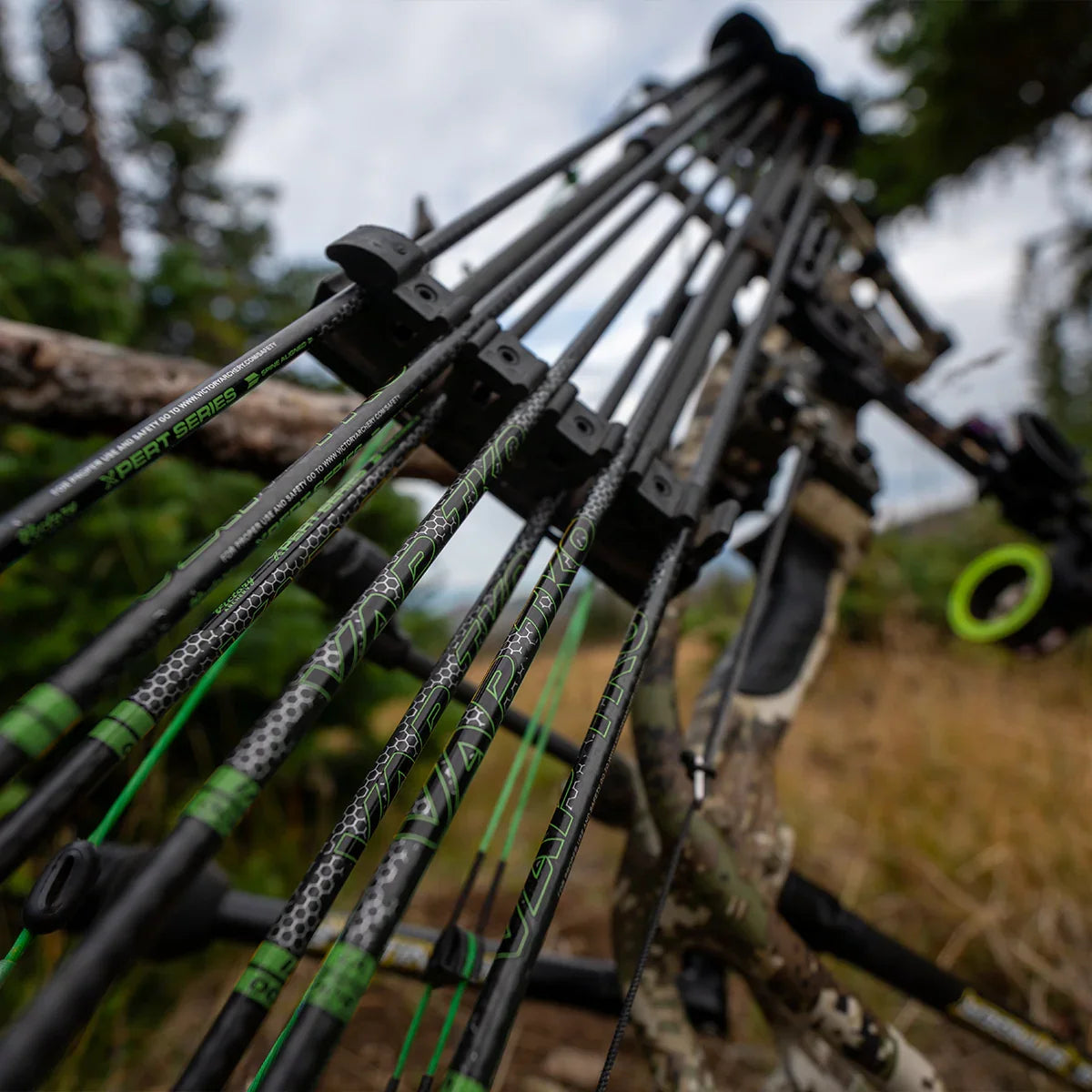 Close-up of VAP TKO carbon hunting arrows on a compound bow outdoors