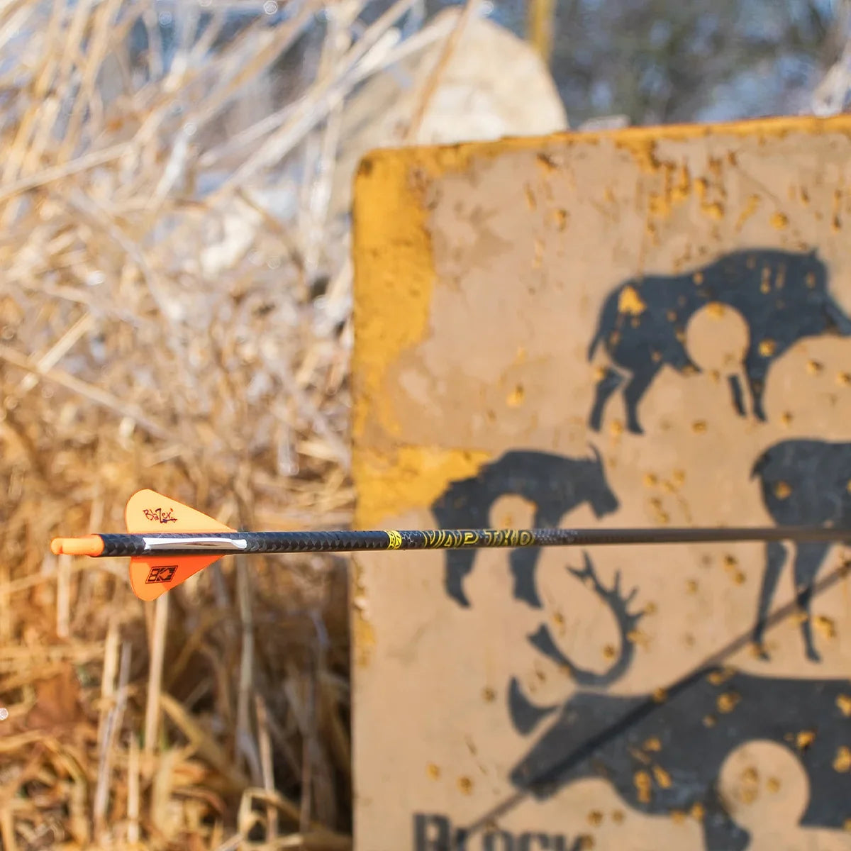 Carbon hunting arrow with orange fletching aimed at animal archery target outdoors