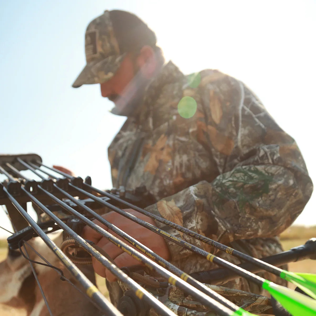 Hunter in camouflage with a compound bow outdoors, sunlight in background