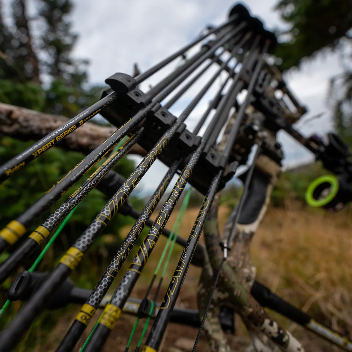 Close-up of VAP TKO carbon arrows on compound bow outdoors, archery hunting equipment