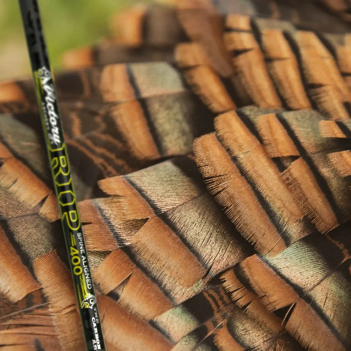 Victory RIP carbon arrow shaft on patterned turkey feathers outdoors