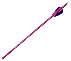 Red carbon archery arrow with purple vanes on a white background