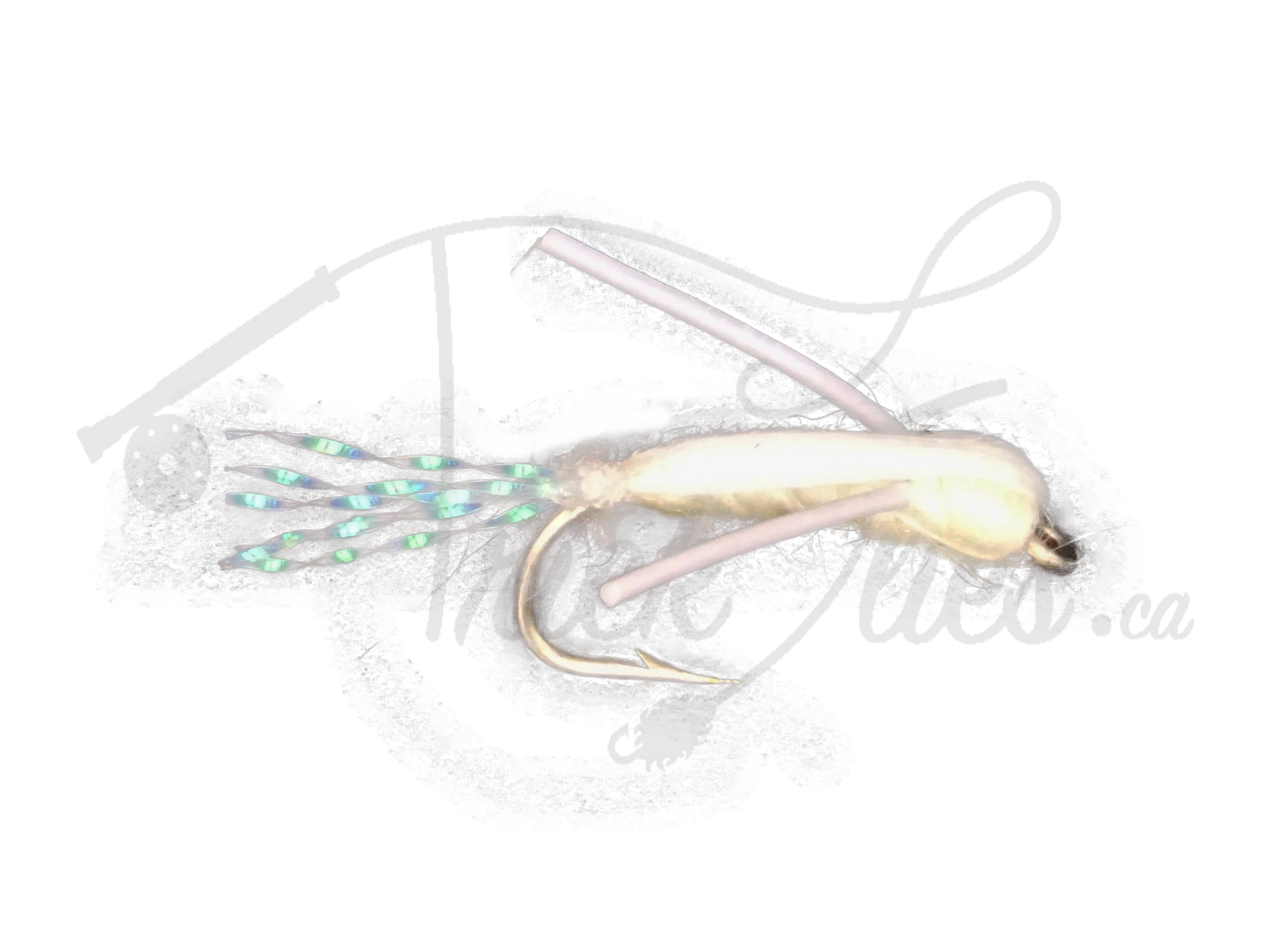 Water Boatman Cream