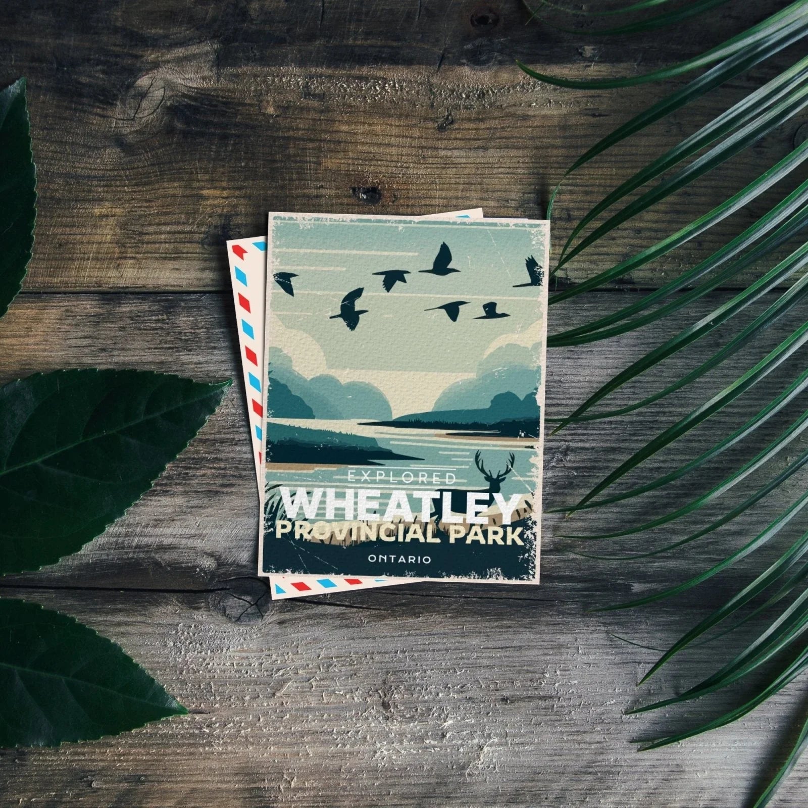 Wheatley Provincial Park Ontario postcard on rustic wood with green leaves