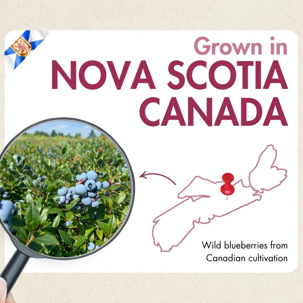 Wild blueberries growing in Nova Scotia, Canada, with magnified berry cluster and province map.