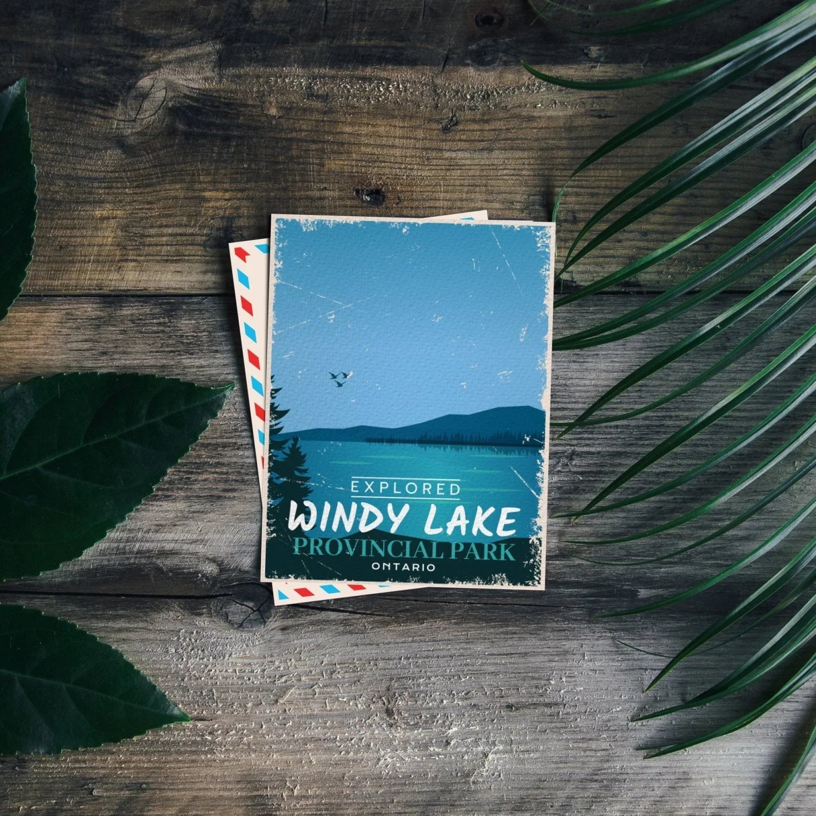 Windy Lake Provincial Park Ontario postcard on rustic wood with green leaves