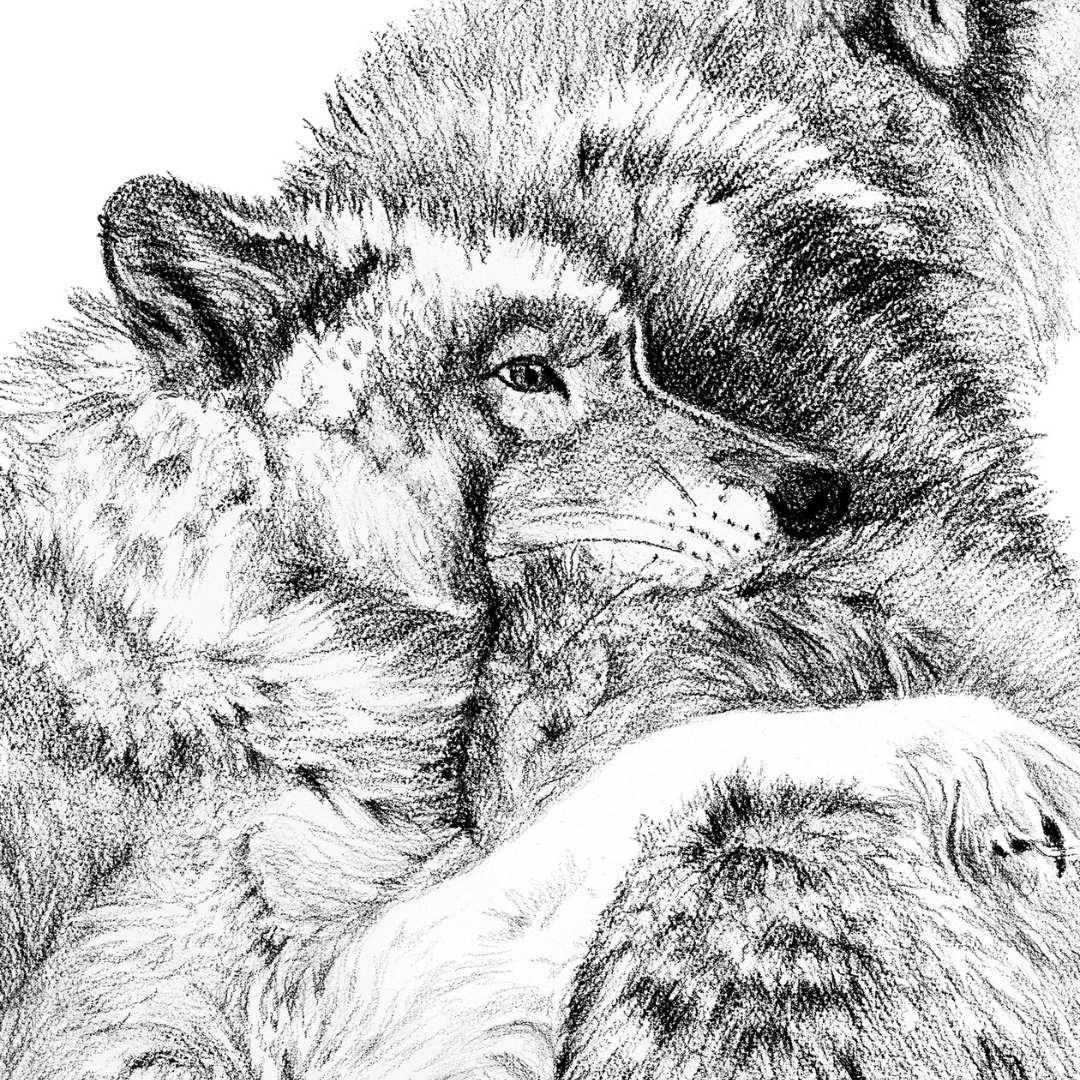 Detailed wolf cuddle pencil sketch, close-up of two wolves embracing, black and white art