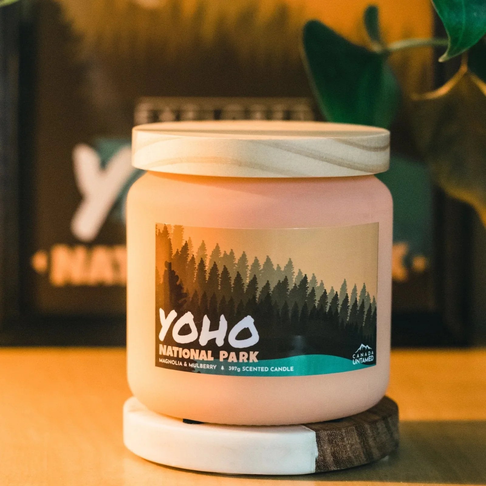 Yoho National Park magnolia mulberry scented candle with forest design on label