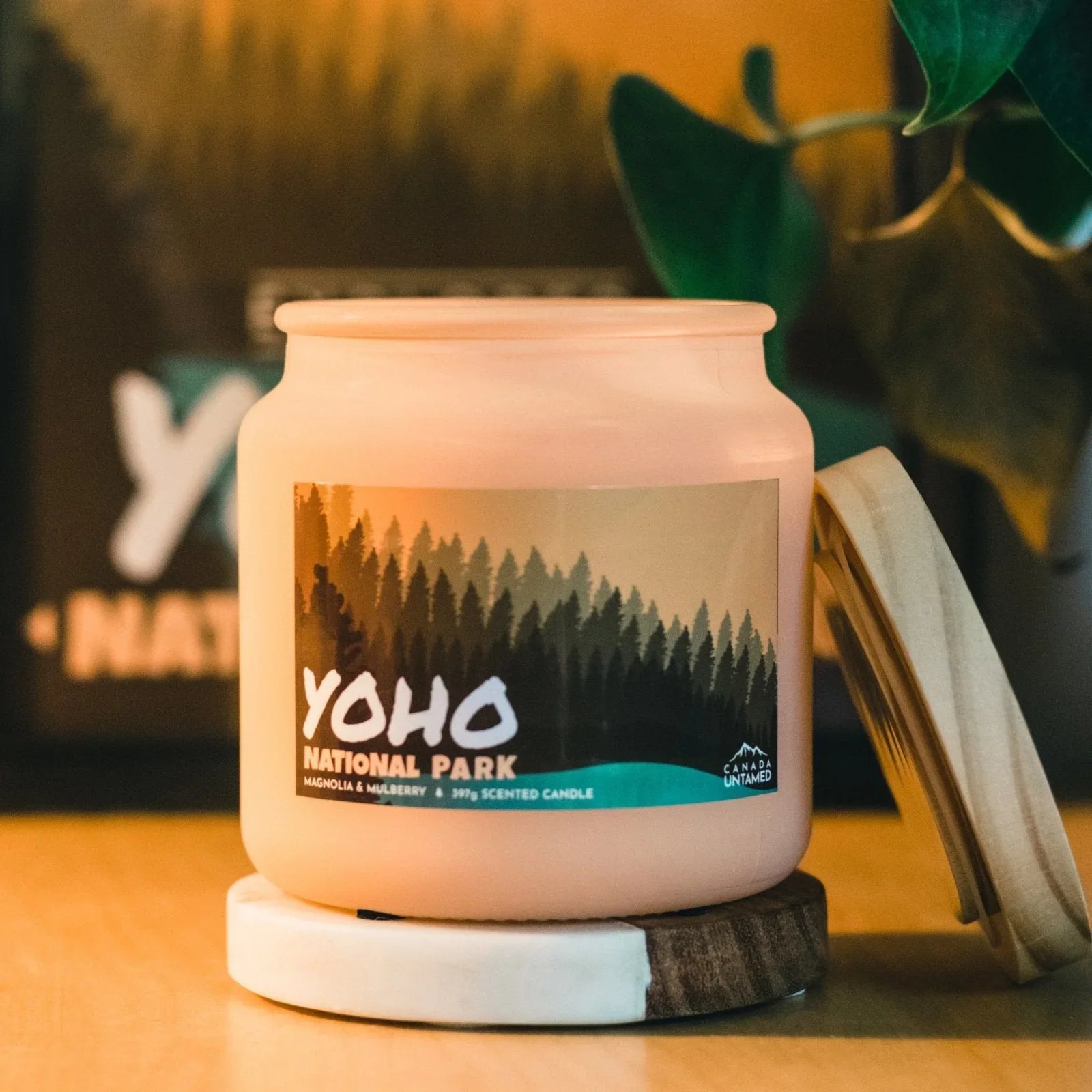Yoho National Park magnolia mulberry scented candle in glass jar on wood coaster